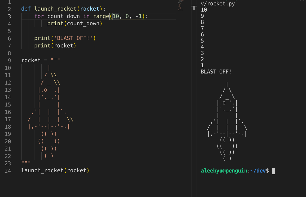 python programming code with ascii art of a rocket
